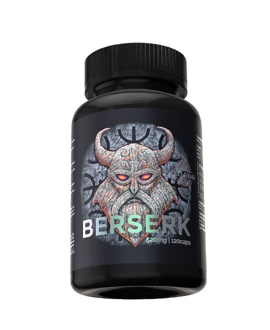 BERSERK от Zelьevar